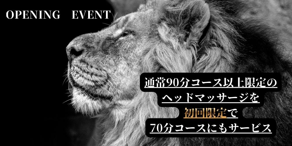 LIONS SPA(ライオンズスパ)のバナー