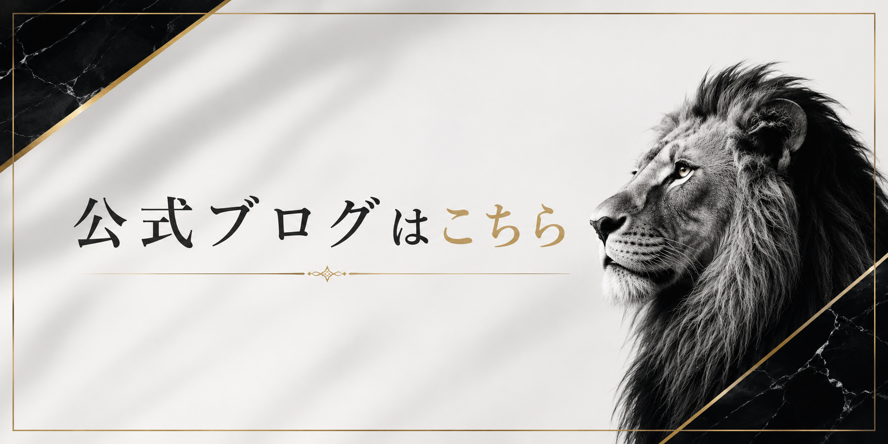 LIONS SPA(ライオンズスパ)のバナー